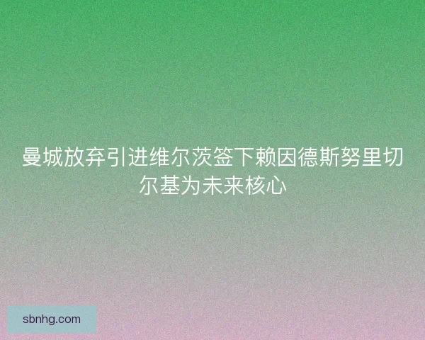 曼城放弃引进维尔茨签下赖因德斯努里切尔基为未来核心 曼城放弃引进维尔茨签下赖因德斯努里切尔基为未来核心